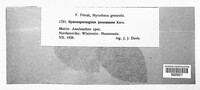 Image Associated With the Occurence